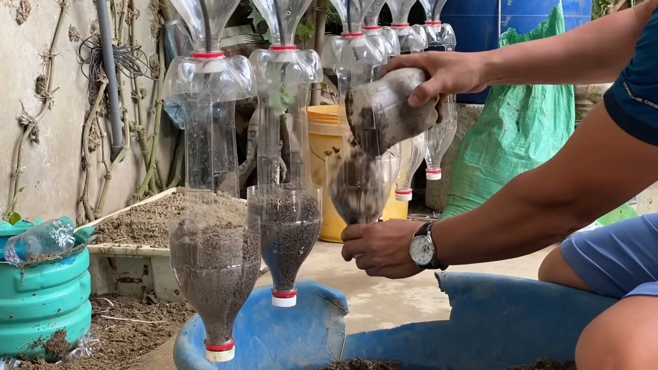 DIY Strawberry Planter Bottles