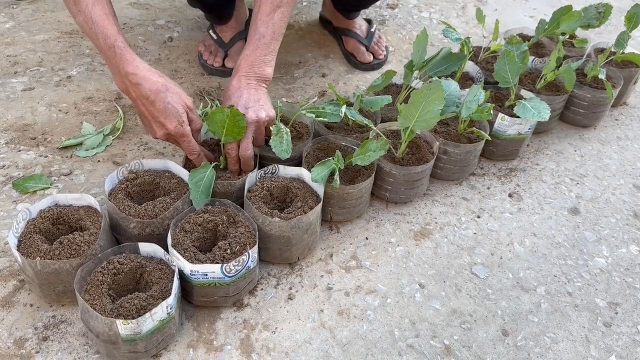 Hanging garden DIY build