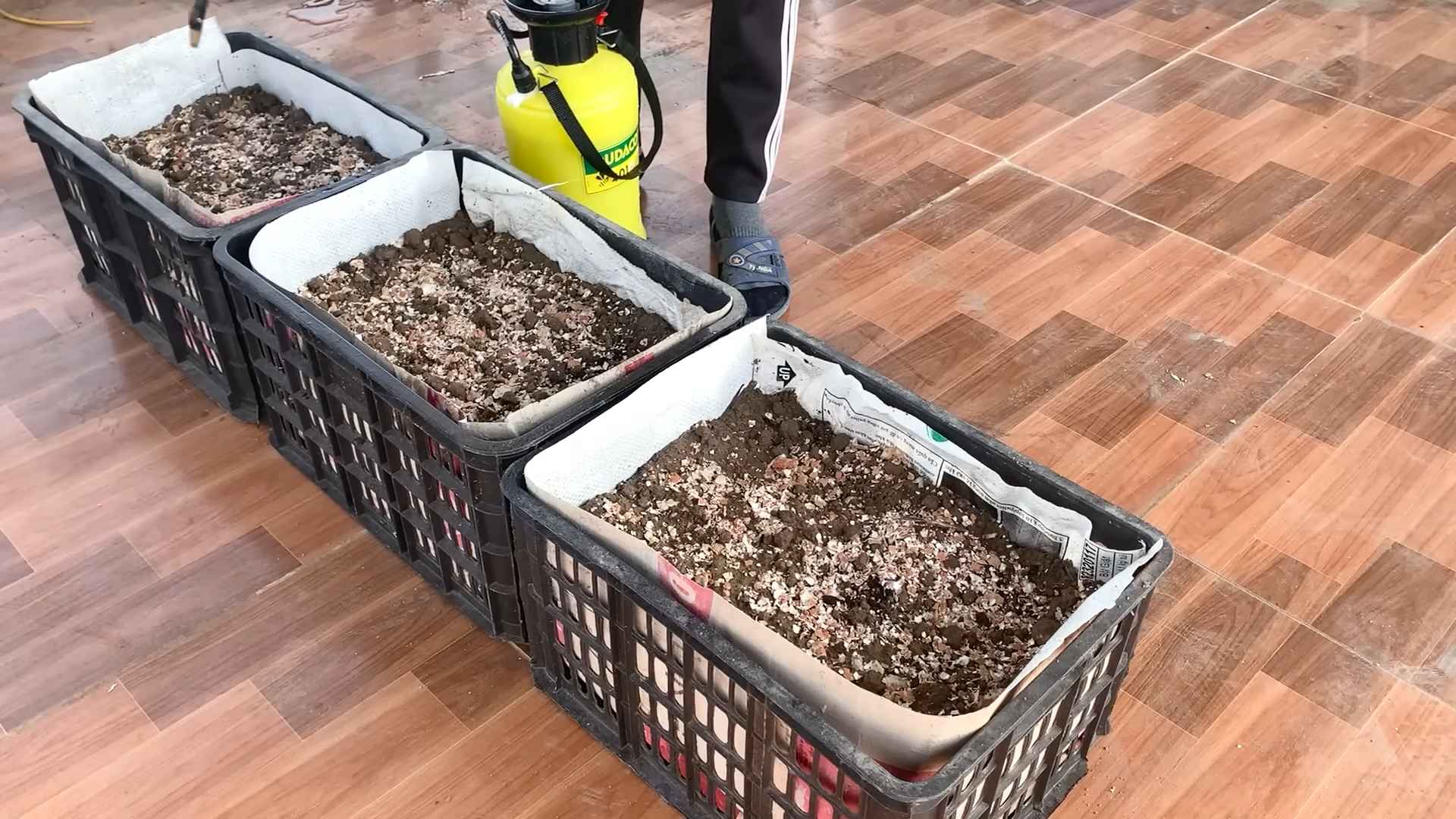 Rooftop Asparagus Garden DIY