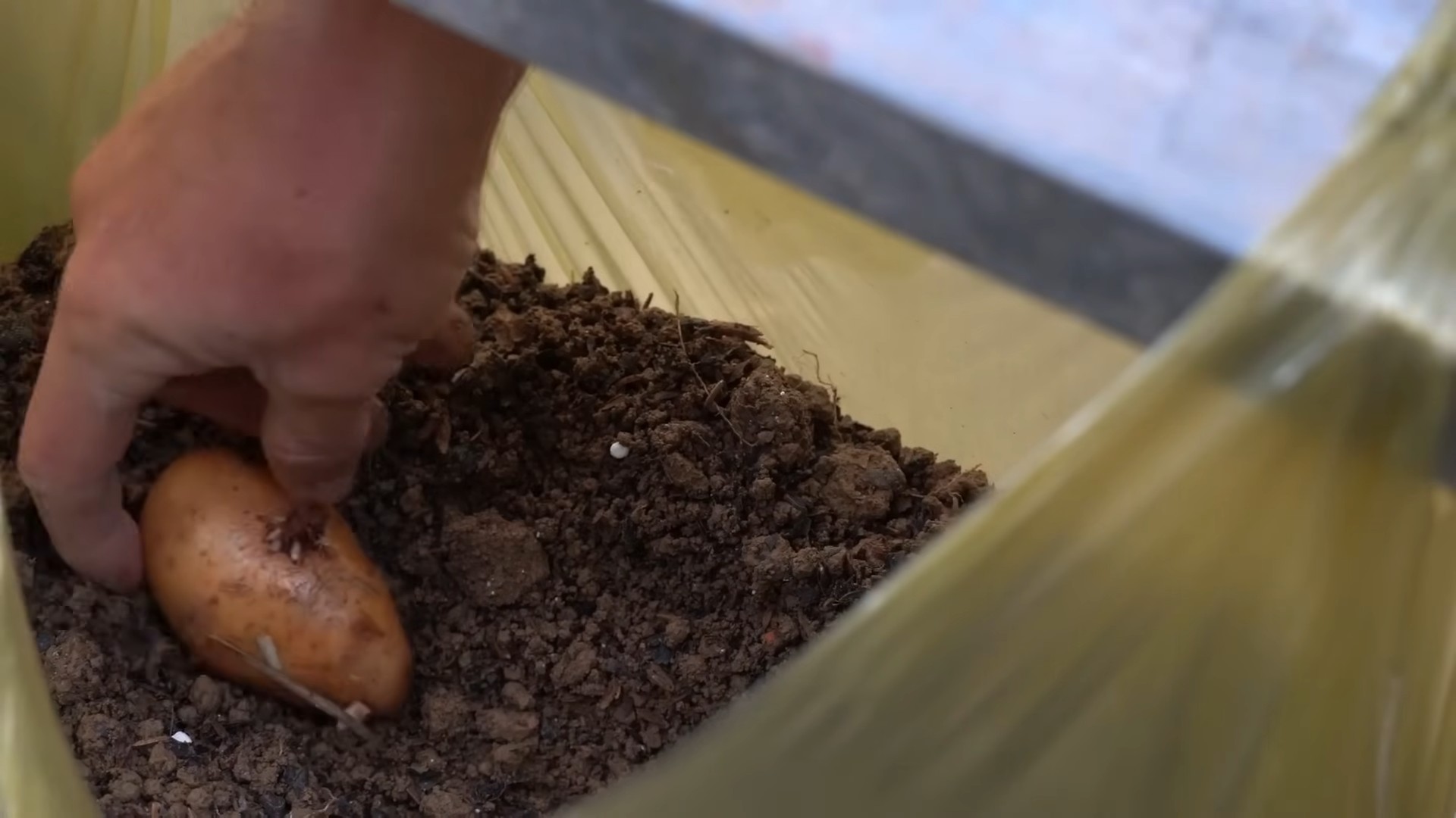 Potato Growing Bags