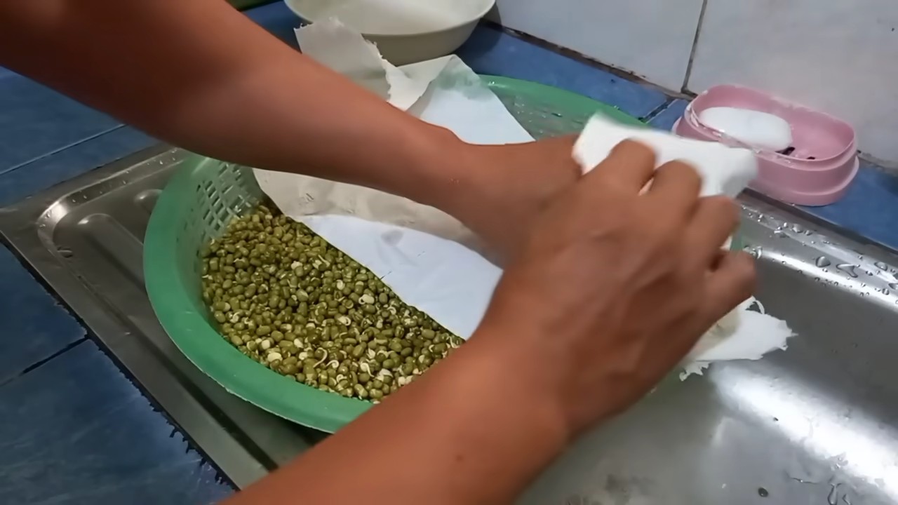 Grow Mung Bean Sprouts Easily